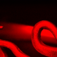 Miniature 1: Coup de Rouge