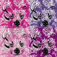 Dog Story <br />Format: 40 x 40 cm
