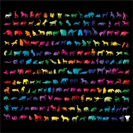 Z'Animaux Pop <br />Format: 60 x 60 cm