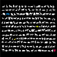 Pop'B�tes <br />Format: 40 x 40 cm