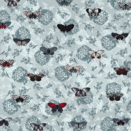 Butterfly <br />Format: 60 x 60 cm